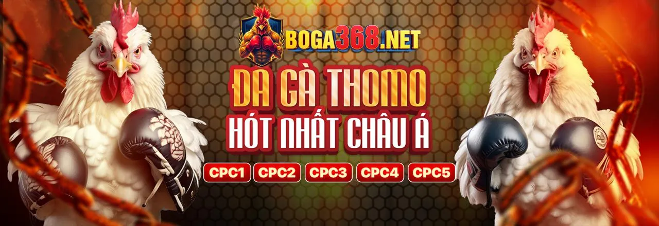 Các biện pháp bảo mật của VIPWIN